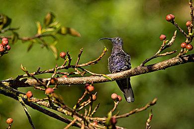 史克威尔艾尼克斯也在考虑对更多旧作进行重制